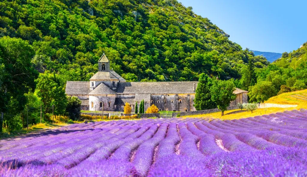Abtei Senanque Gordes Provence Lavendelfelder Notre-Dame de Senanque, blühende lila-blaue Lavendelfelder Luberon Frankreich. Europa. Hochwertiges Foto